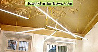 Diese Decke verfügt über Goldfarbe und verlängert die Farbe auf die Wand, um die Deckenhöhe optisch zu erhöhen. This ceiling features gold paint and extends the color down onto the wall to visually increase the ceiling height.