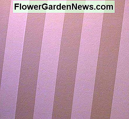 Vertikale Streifen lassen Wände größer aussehen - so wie ein gestreiftes Kleid den Körper verlängert! Vertical stripes make walls look taller -- just like a striped dress elongates the body!