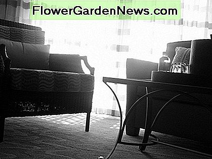 ใช้ฮวงจุ้ยเมื่อตกแต่งห้องเล็ก ๆ ของคุณเพื่อสร้างชีวิตที่กลมกลืน Use Feng Shui when decorating your small apartment to create harmonious living