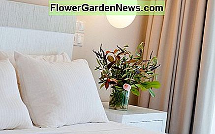 ห้องนอนที่ดีของ feng shui จะช่วยให้มีการไหลเวียนของพลังงานที่ดีเพื่อผ่อนคลายผ่อนคลายและลดความเครียด นี้จะช่วยเพิ่มสุขภาพและความมีชีวิตชีวาของคุณ A good feng shui bedroom will promote a harmonious flow of good energy to relax, heal and de-stress. This will improve your health and vitality.