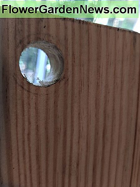 Išpjovos skylės atrodys šiek tiek panašios į tą, kurią mes turime išbandyti mūsų bandomojoje medienoje. The holes you cut will look a little something like this one we drilled in our test wood.