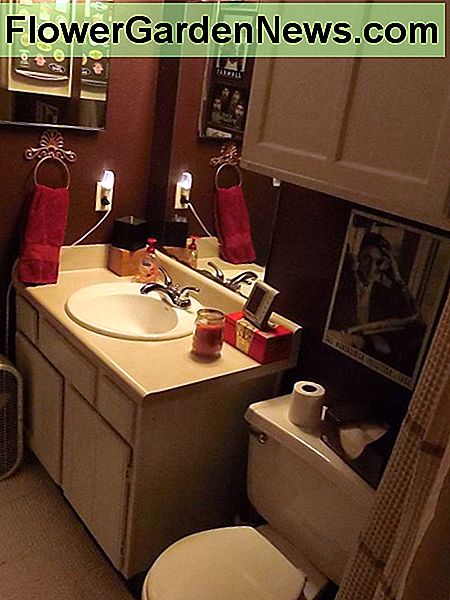 Mit etwas Farbe und Fantasie können Sie Ihr eigenes Männerzimmer kreieren, das Ihren eigenen Stil und Ihre Persönlichkeit widerspiegelt. With a little paint and imagination you can create your own Men's Room that reflects your own style and personality.