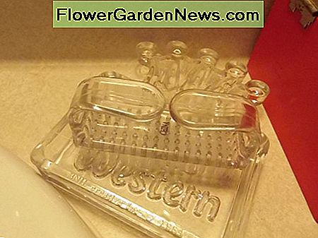 Vintage Best Western Aschenbecher verwendet, um Nagelbürste zu halten. Vintage Best Western ashtray used to hold nail brush.