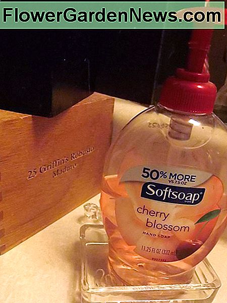 Ein weiterer Jahrgang Best Western Aschenbecher verwendet, um Handseife Container zu halten. Another vintage Best Western ashtray used to hold hand soap container.