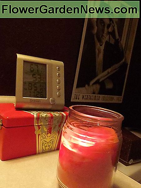 Rote Zigarrenkiste benutzt für Funktion und Mode. Red cigar box used for function and fashion.