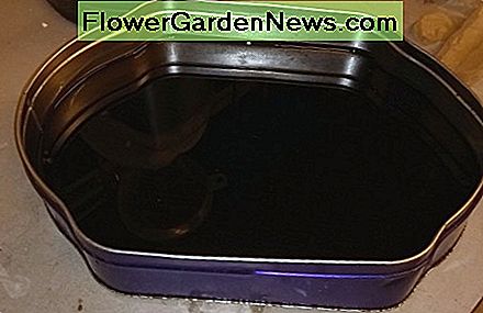 Aš išleidžiau aliejų į šią alavo ..... I drained oil into this tin.....