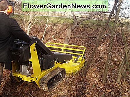 Handgeführte Motorsense von Pecobrushcutters. Walk-behind brushcutter from Pecobrushcutters.