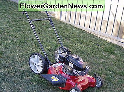 Dieser gemeinsame Schubmäher hat Einstellungen, mit denen Sie die Mähklingen heben und senken können. Durch die Höhe des Grases in diesem Foto können Sie feststellen, dass die aktuelle Einstellung niedrig ist. This common push mower has settings that let you raise and lower the mowing blades. By the height of the grass in this photo, you can tell its current setting is low.