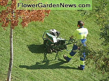 Landschaftsgestalter verwenden Power-Belüfter, um Löcher in große Rasenflächen zu bohren. Dies schneidet Kanäle durch Wurzeln, die sich an der Oberfläche verflechten, wodurch Winterregen in die Erde einsinken kann. Landscapers use power aerators to poke holes in large lawns. This cuts channels through roots intertwined at the surface, allowing for winter rains to sink through into the earth.