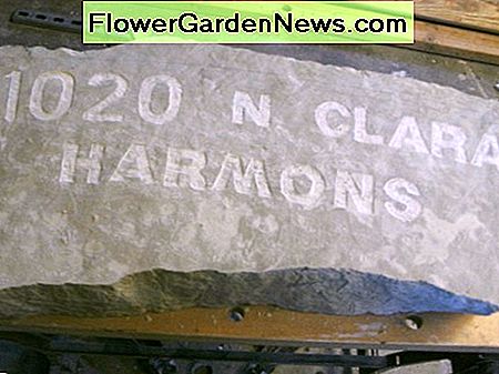 Die Gravur ist fertig und fertig für die Fertigstellung. Engraving is complete, ready for finishing.
