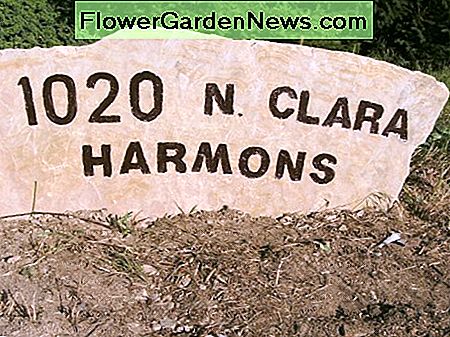 Fertiggestelltes Steinschild, an Ort und Stelle gesetzt Completed stone sign, set into place