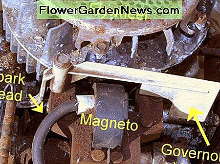 Vliegwiel, magneet en schuifregelaar. Flywheel, magneto, and governor vane.