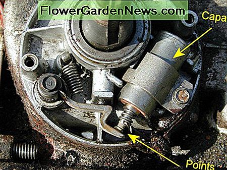 Punten en condensator (oorspronkelijk een condensor genoemd): als de rubberen afdichting op de krukas defect is, kan zich olie in dit compartiment verzamelen en op de punten spetteren, waardoor het afslaan kan optreden. Points and capacitor (originally called a condenser): If the rubber seal on the crankshaft is faulty, oil can accumulate in this compartment and splash onto the points, causing misfiring.