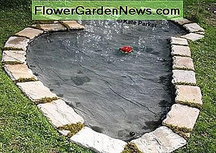 Njut av din nya Pond! Enjoy Your New Pond!