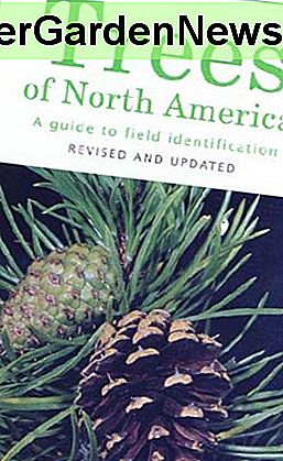 Bäume von Nordamerika: Ein Leitfaden zur Feldidentifikation, überarbeitet und aktualisiert (Golden Field Guide f / St. Martins Press)