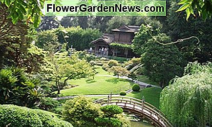 Japonijos Japanese Zen Garden style - peaceful, relaxing, meditative. Taken at the Huntington Demonstration Gardens in Pasadena, California, 2015.