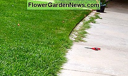 Das war der kleine Rasen vor meiner HOA Wohnung. Der Landschaftsgärtner machte es nicht, also schob ich es selbst mit einer Gartenschere um. Schau, wie viel schöner der Rasen aussieht, wenn seine Seiten beschnitten sind. This was the small lawn in front of my HOA condo. The landscaper wasn't doing it, so I edged it myself with a pair of garden scissors. Look how much neater the lawn looks when its sides are trimmed.