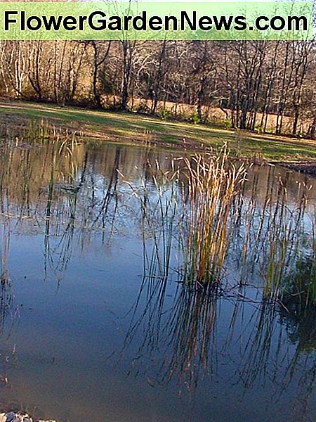 (Foto von Dolores Monet) (photo by Dolores Monet)