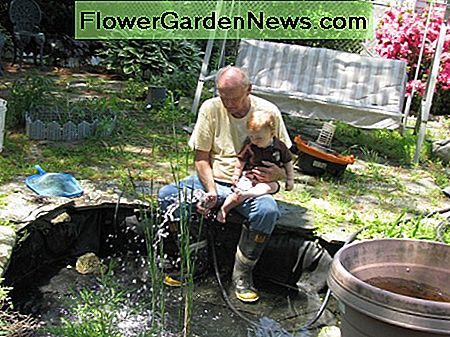 Pavasario valymas - tvenkinys su įklotu ( Spring cleaning - pond with liner (