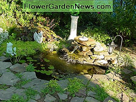 Tai mano nedidelis iš anksto suformuotas tvenkinys This is my small pre-formed pond