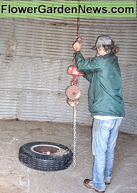 Befestigungsring anbringen. Es gibt so etwas wie einen speziell angefertigten Hebering, aber der, den wir normalerweise verwenden, ist ein großer LKW-Reifen mit einer sicher befestigten Holzkette darum herum. Attach lifting ring. There is such a thing as a specially-made lifting ring, but the one we commonly use is a large truck tire with a securely fastened log chain around it.