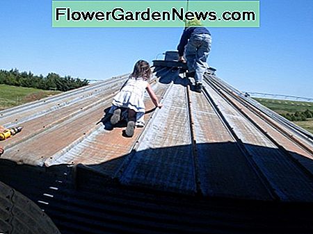 Meine Kinder, die fast ihr ganzes Leben lang auf der Müllhalde waren, können einem abgesenkten Dach nicht widerstehen. My kids, who have been on grain bin building sites nearly all their lives, can't resist a lowered roof.