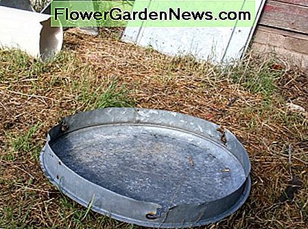 Wirf den Deckel auf den Boden. Du wirst nicht versuchen wollen, damit runterzuklettern. Toss the lid to the ground. You won't want to try to climb down with it.