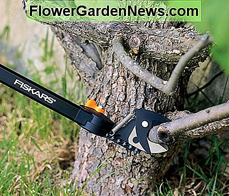 Pruners med justerbar huvudvinkel Àr idealiska för lÄgt arbete. Pruners with an adjustable head angle are ideal for low level work.