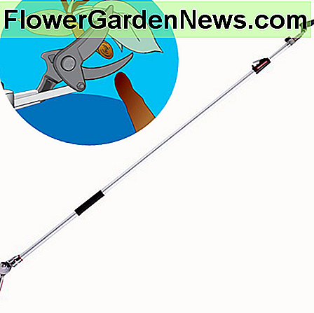 ARS teleskopskÀrare. The ARS telescopic pruner.