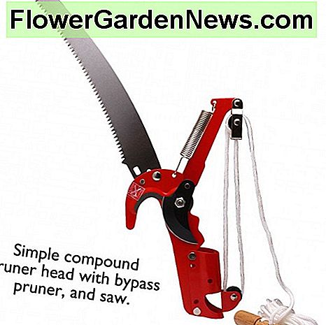 Typisk sammansatt pruner Typical compound pruner