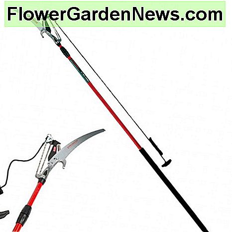 Corona sammansatt huvud pruner. Corona compound head pruner.