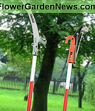 Gilmour beskÀrningssÄgens styva pol har stor rÀckvidd. Ett beskÀrningshuvud kan köpas för extra. The Gilmour pruning saw's rigid pole has great reach. A pruning head can be purchased for extra.