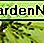 Bladluizen op esdoornblad Aphids on maple leaf