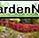 Amoer esdoorn als hagen Amur maple as hedges