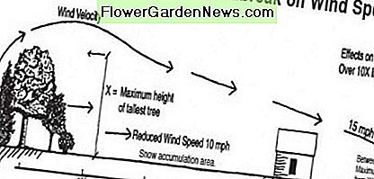 Windscherm Windbreak