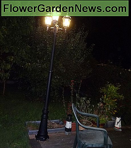 Atnaujintas gatvių žibintas mūsų nugaros sode. Renovated streetlamp in our back garden.