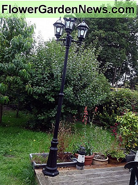 Gatvinis žibintas su vaizdu į mūsų nugaros sode. Streetlamp overlooking our back garden.