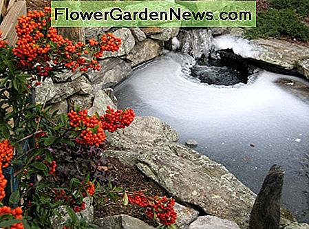 een vijver omzoomd met stenen a pond edged with stones