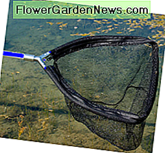 een skimmer-net dat in een vijver wordt gebruikt a skimmer net being used in a pond