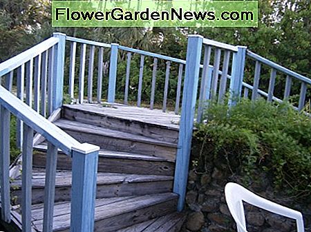 Ich muss immer noch einen Anstrich auf diese Stufen auftragen. I still have to apply a coat of paint on these steps.