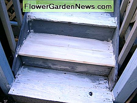 Die Stufen, die zur Veranda führen, sind mit Kilz grundiert und bereit zum Bemalen. The steps leading up to the porch have been primed with Kilz and are ready for painting.