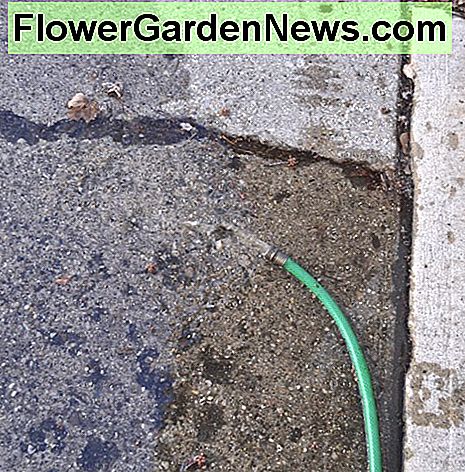 การไหลที่แข็งแกร่งมุ่งหน้าไปยังที่ปลอดภัย: ระบบท่อน้ำทิ้ง Strong flow heading to a safe place: the sewer system.