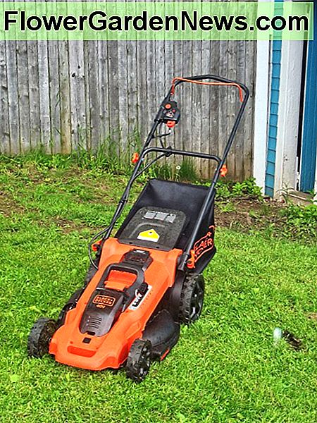 Black & Decker CM2043 eingerichtet für Gras Sammlung Black & Decker CM2043 set up for grass collection