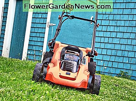 Black & Decker CM2043C Black & Decker CM2043C