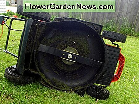 Unterseite des Black & Decker CM2043C Underside of the Black & Decker CM2043C