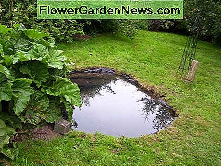 Ein neu hergestellter Froschteich! Jetzt braucht es einige Wasserpflanzen. One newly-made frog pond! Now it needs some aquatic plants.