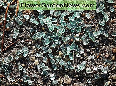 Gebroken veiligheidsglas. Shattered safety glass.