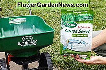 Viele Arten von Grassamen sind auf dem Markt. Konsultieren Sie Ihren lokalen Gartenladen, um das beste Saatgut für Ihren Rasen zu finden. Many kinds of grass seed are on the market. Consult your local garden store to determine the best seed for your lawn.
