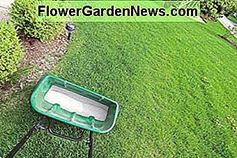 Wählen Sie die richtige Art von Dünger und Dosierung für das Gras Ihres Bodens. Choose the right kind of fertilizer and dosage for your soil's grass.