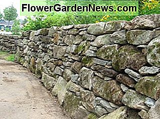 Diese Moossteine ​​bilden eine neue Wand in Bromont, QC sieht so aus, als ob es schon seit hundert Jahren existiert. Diese Steine ​​ersetzten eine frühere Mauer aus Steinen, die zu klein waren, um die Bank zurückzuhalten. These mossy stones make a new wall in Bromont, QC look as though it has been around for a hundred years. These stones replaced an earlier wall built with stones too small to hold back the bank.
